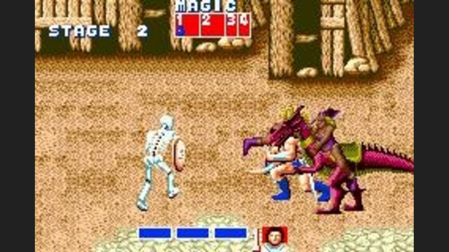 Golden Axe: Wont someone think of the skantaly clad amazon dragon riders!