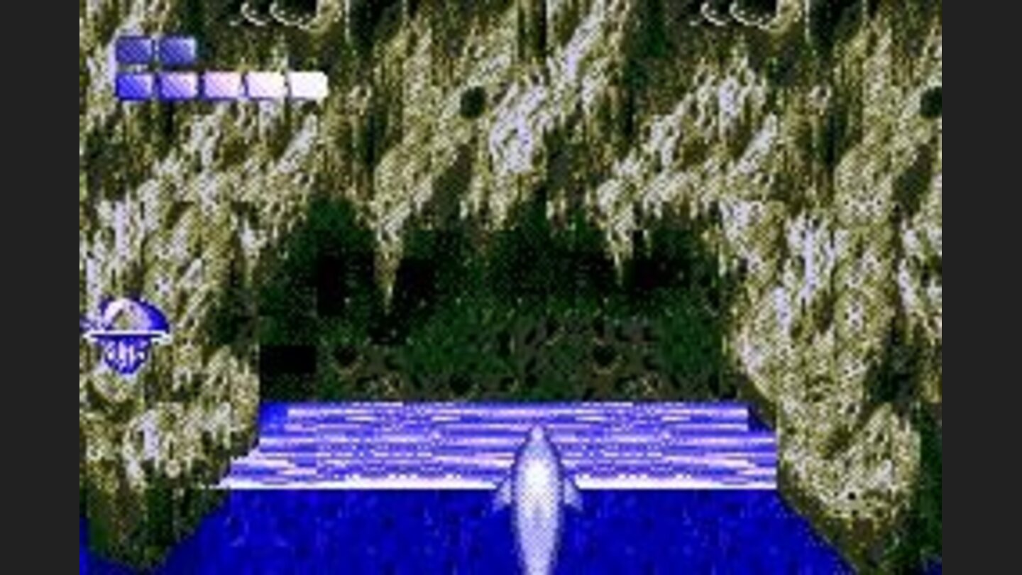 Ecco the Dolphin: Air pockets are quite convenient for this air breather.