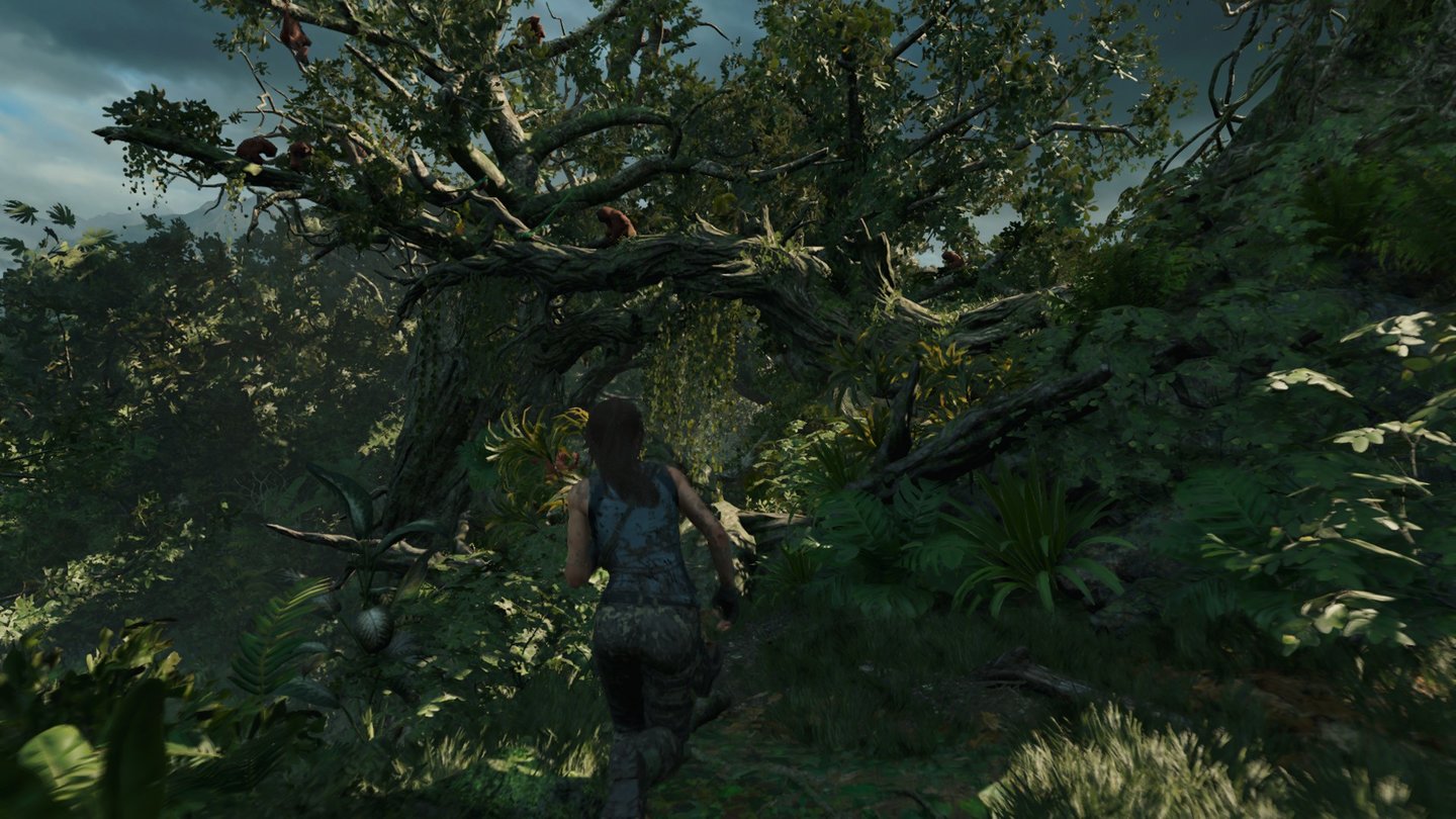 Shadow of the Tomb RaiderDer Dschungel empfängt uns mit dicken Bäumen und viel Grün.