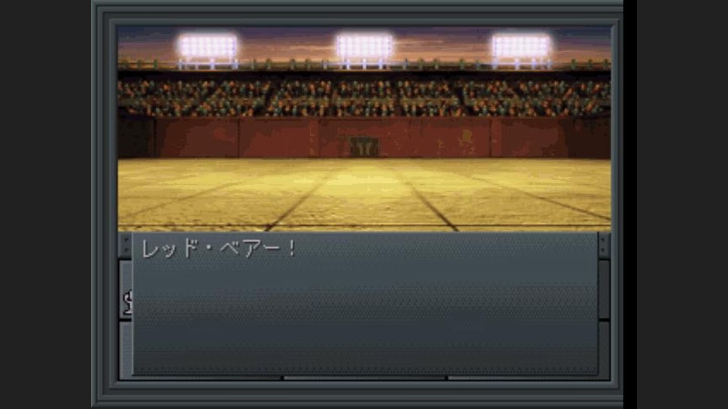 You are about to fight on the arena