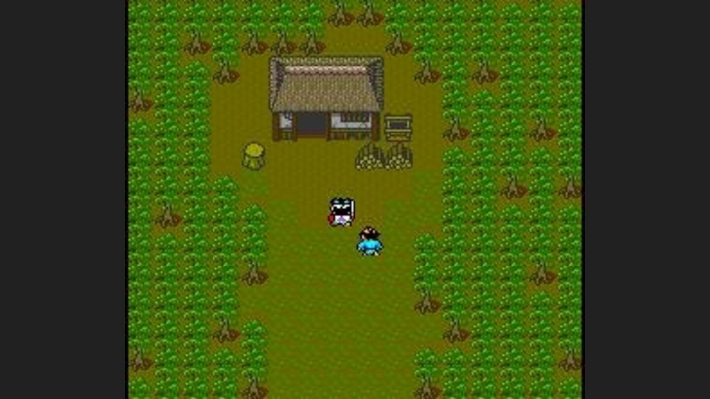 A lonely house in the middle of a forest...