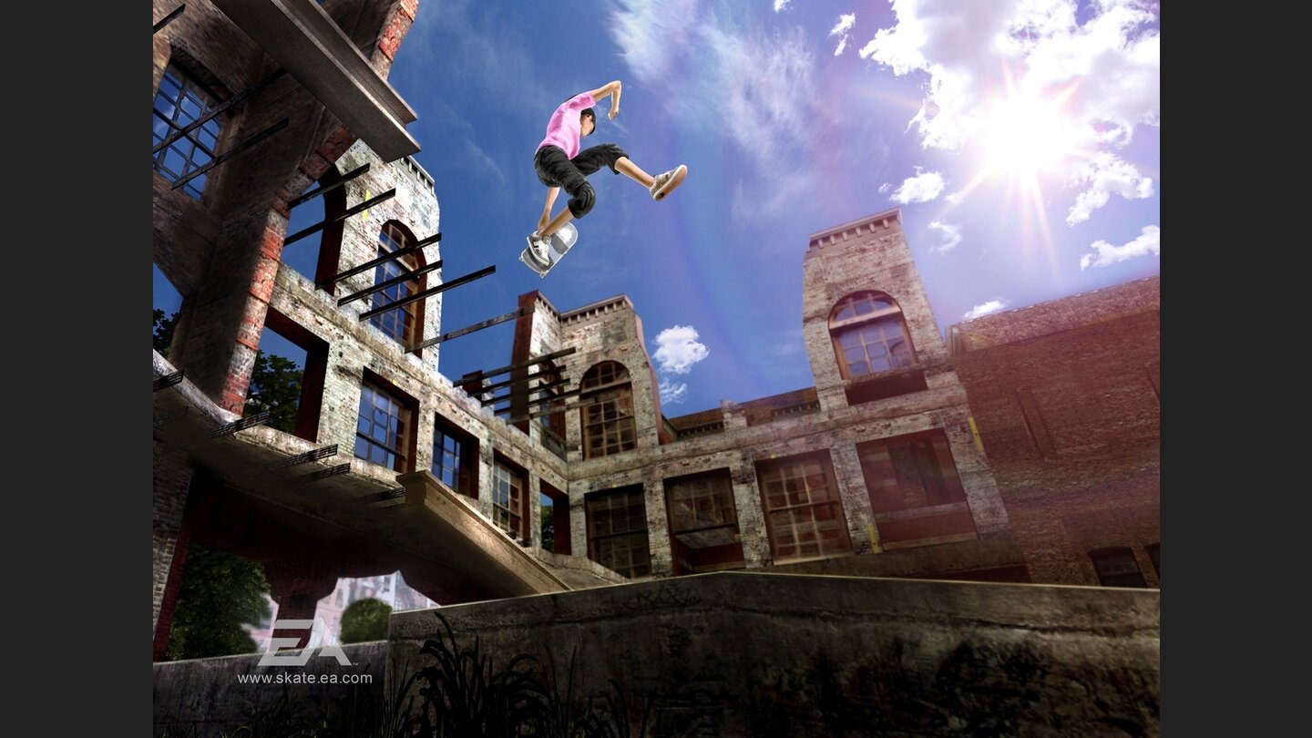 Skate 2 3