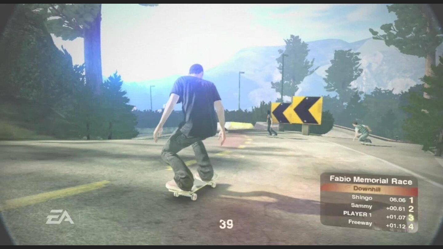 skate 2 7