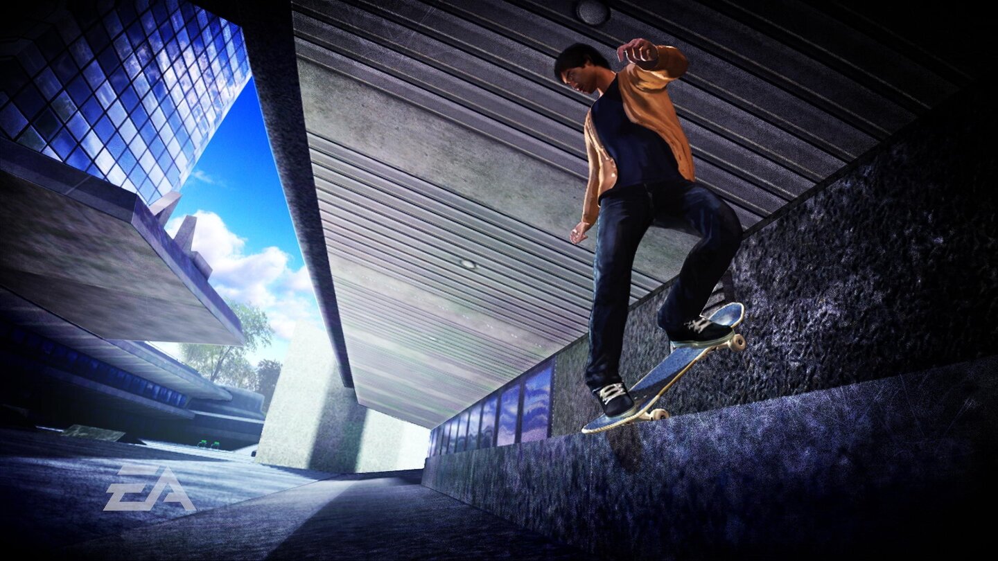 skate 5