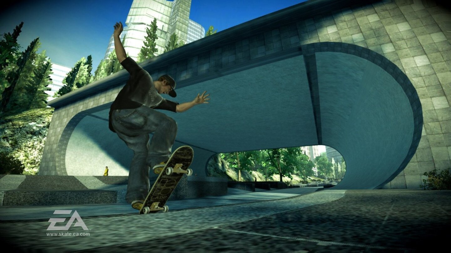 skate 5