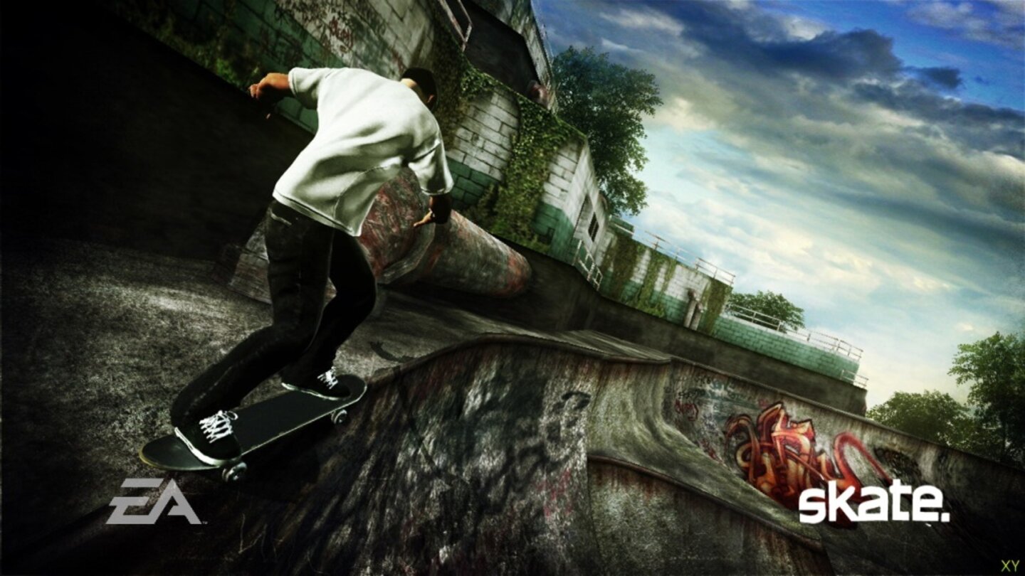 skate 6