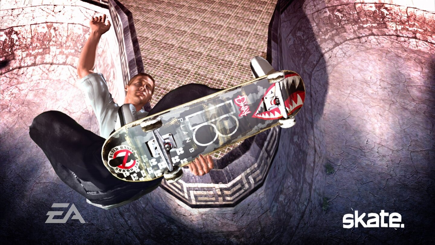 SKATEX360-11513-116 2
