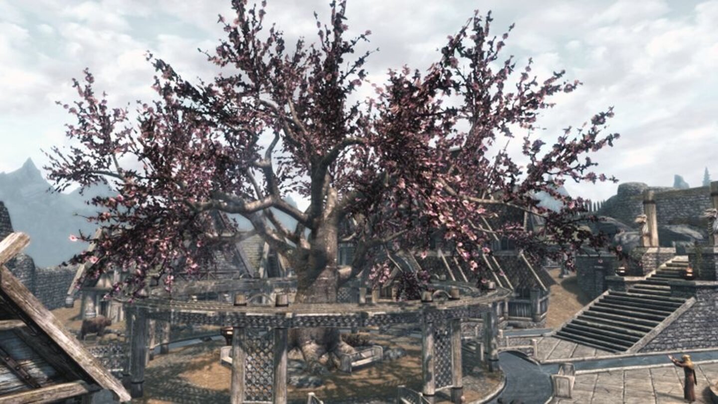 Der Herr der RingeIn einer der ersten Städte, die Abenteurer in Skyrim erkunden, befindet sich ein großer Baum, mit Kirschblüten-ähnlichen Blüten. Dieser Baum ist eine Anspielung auf den Baum, hoch oben in Minas Tirith aus Der Herr der Ringe: Die Rückkehr des Königs. Dort übernimmt ein legendärer weißer Baum dieselbe Rolle wie in Skyrim.