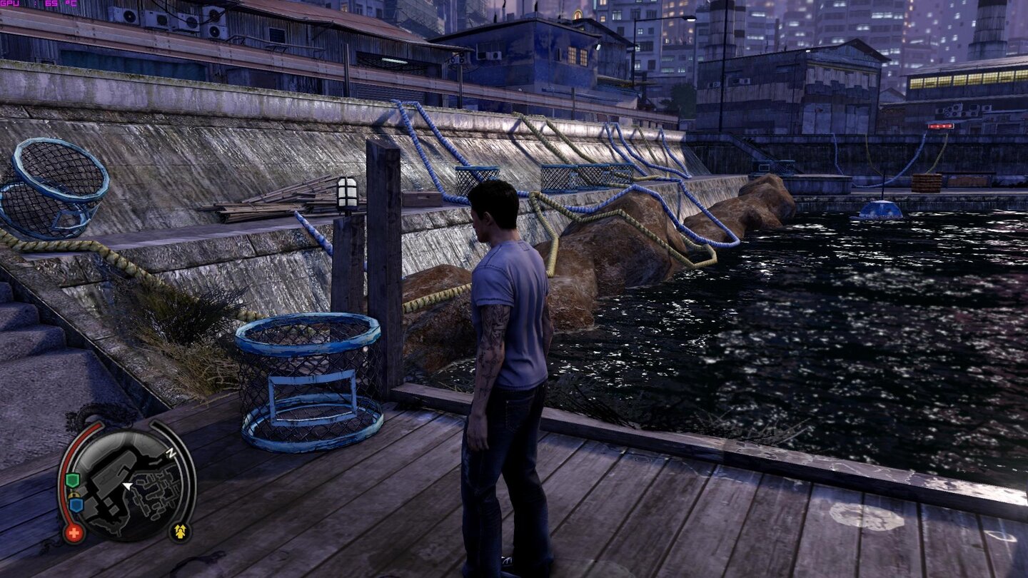 Sleeping Dogs Technik-Check
