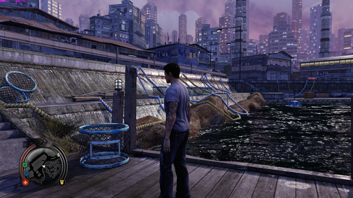 Sleeping Dogs Technik-Check