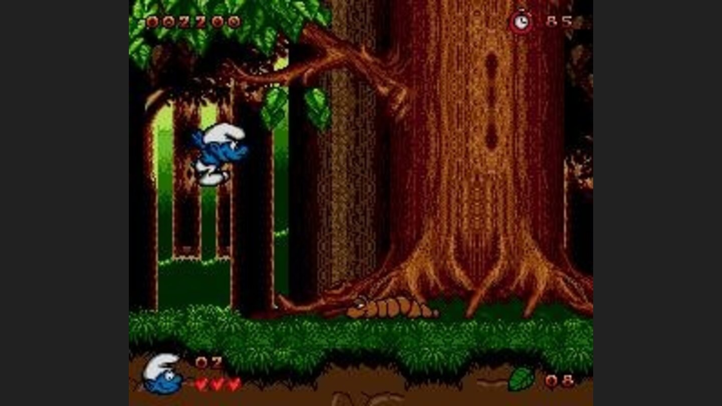 Forest level