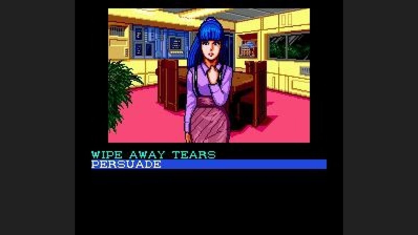 Sometimes the game feels almost like a hentai digital novel