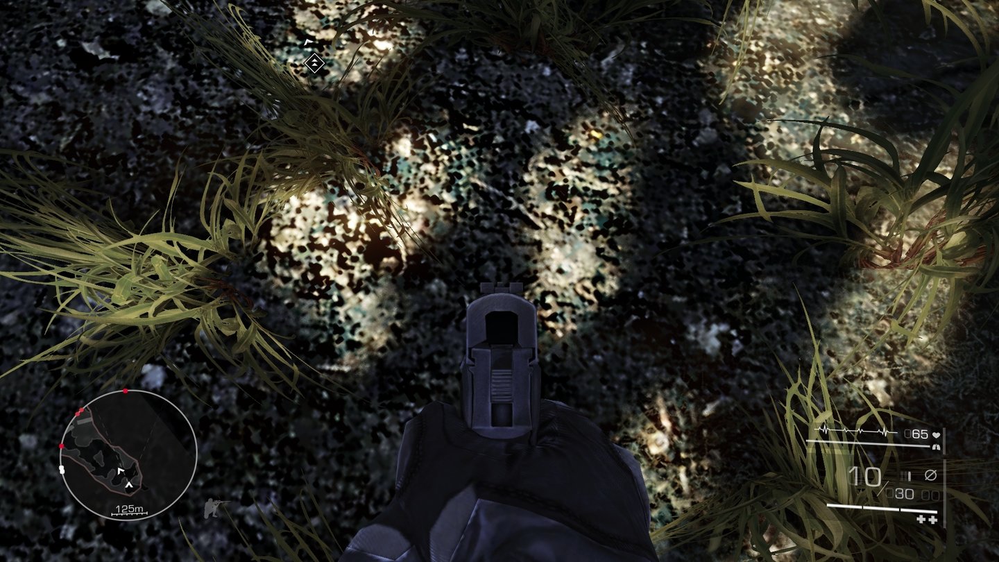 Sniper: Ghost Warrior 2Besonders die Bodentexturen sind teilweise extrem hässlich.