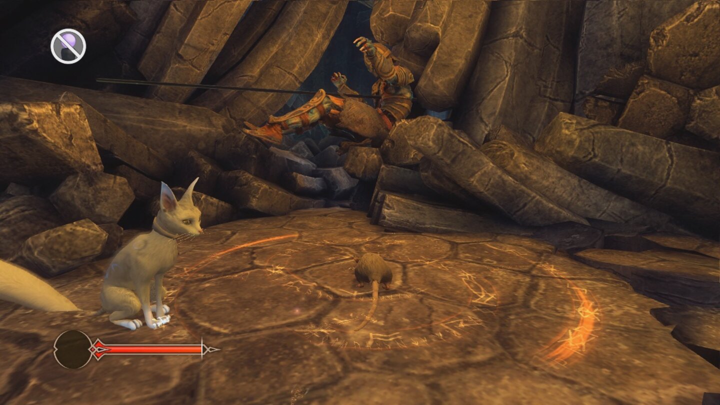 SorceryGelegentlich verwandelt sich Finn in ein Tier. Hier ist der Magier als Ratte unterwegs.