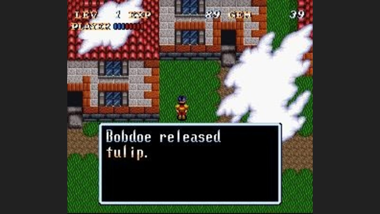 When you free plants, animals and people, parts of the town rebuild.