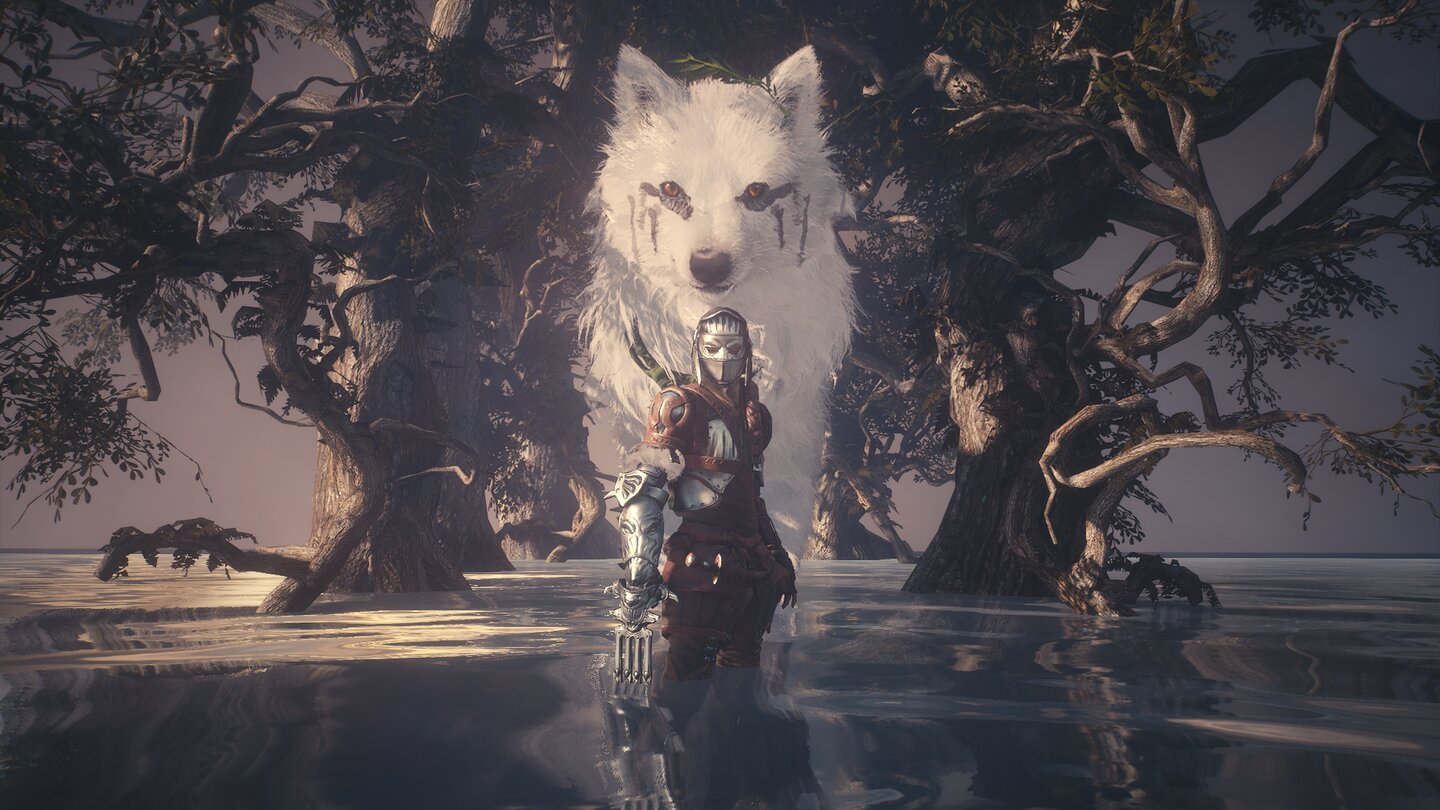 Soulframe