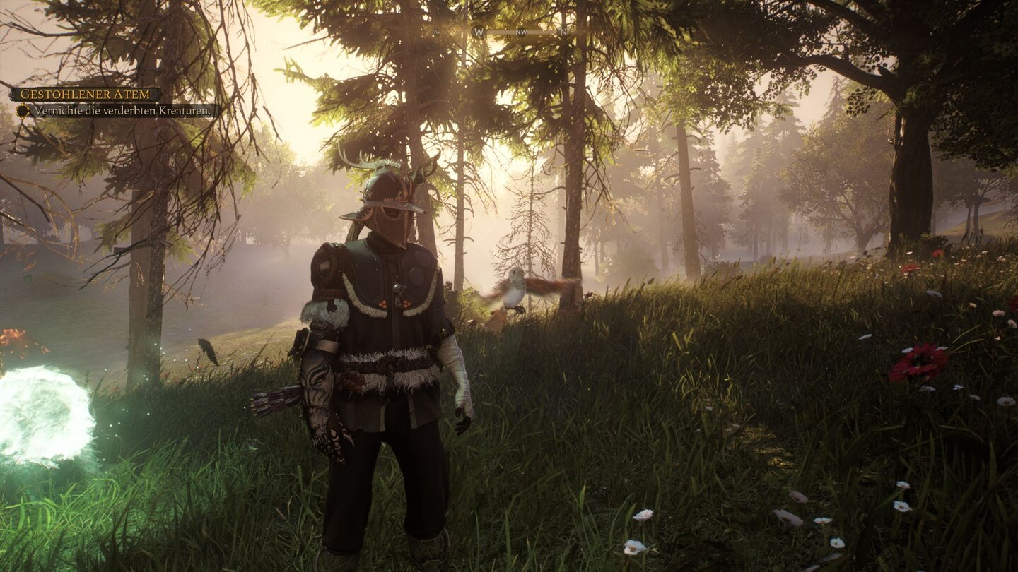 Soulframe