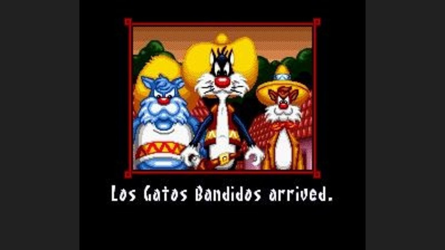 Los Gatos Bandidos