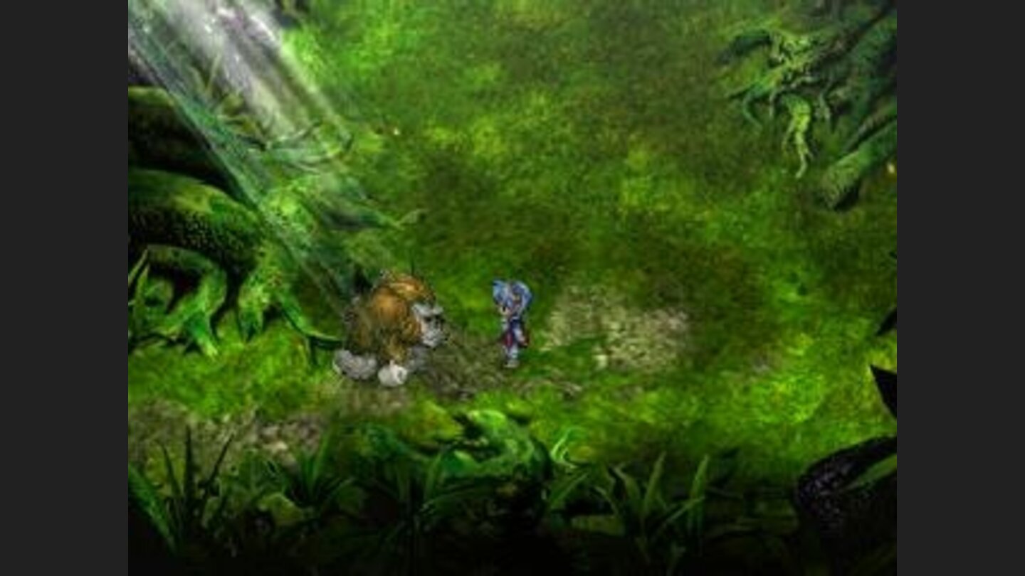 A Surprise in the Forest