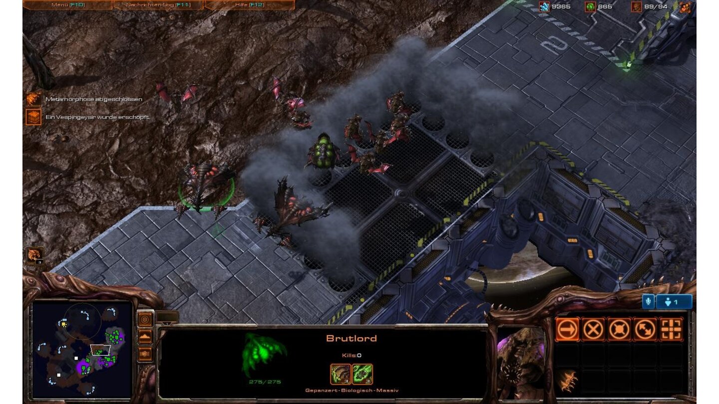 StarCraft 2 Beta-Screenshots