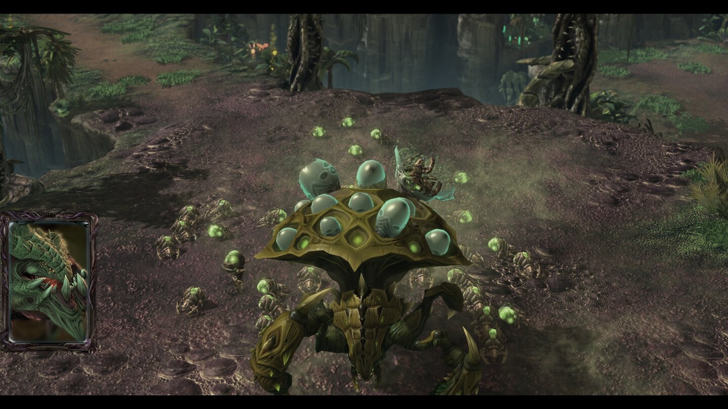 Starcraft 2 - Heart of the Swarm - Cover