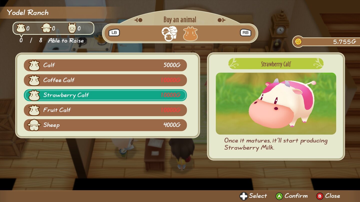 Story of Seasons: Friends of Mineral Town