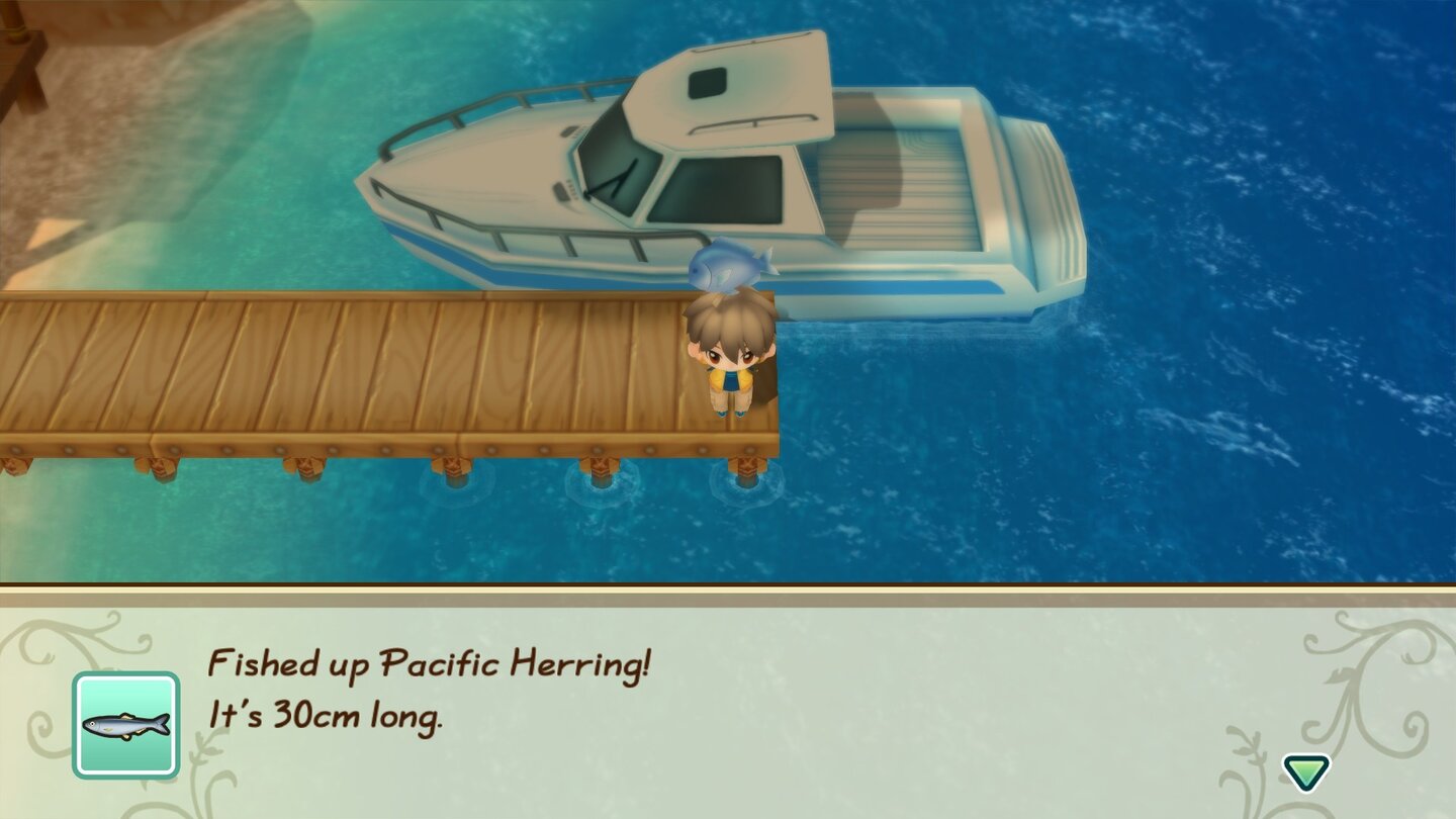 Story of Seasons: Friends of Mineral Town