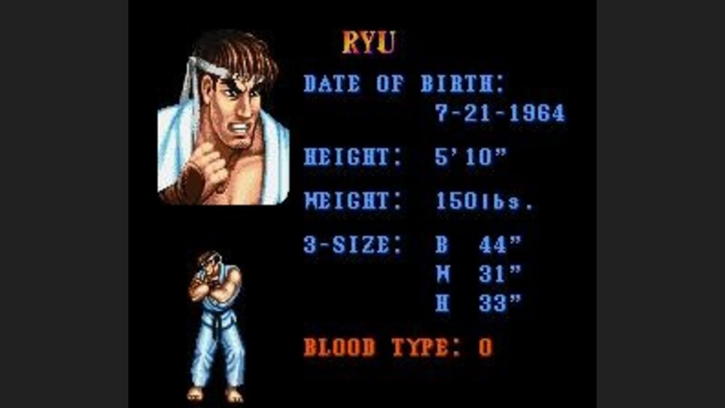 During demonstration mode, you can see brief profiles from the fighters, one by one.
