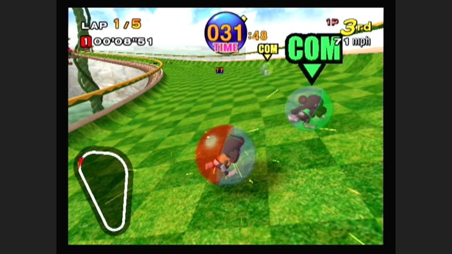 Monkey racing