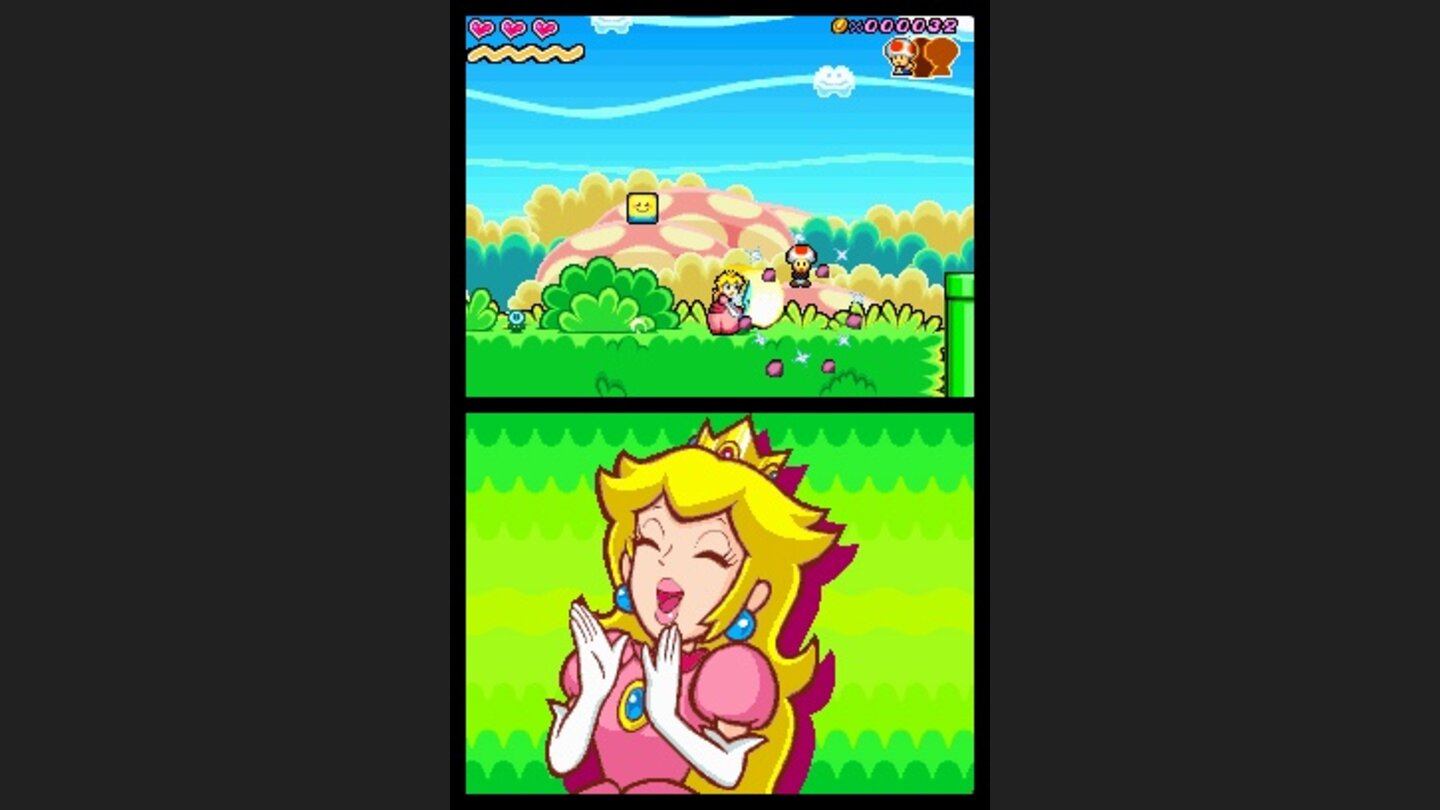 Super Princess Peach_DS 4