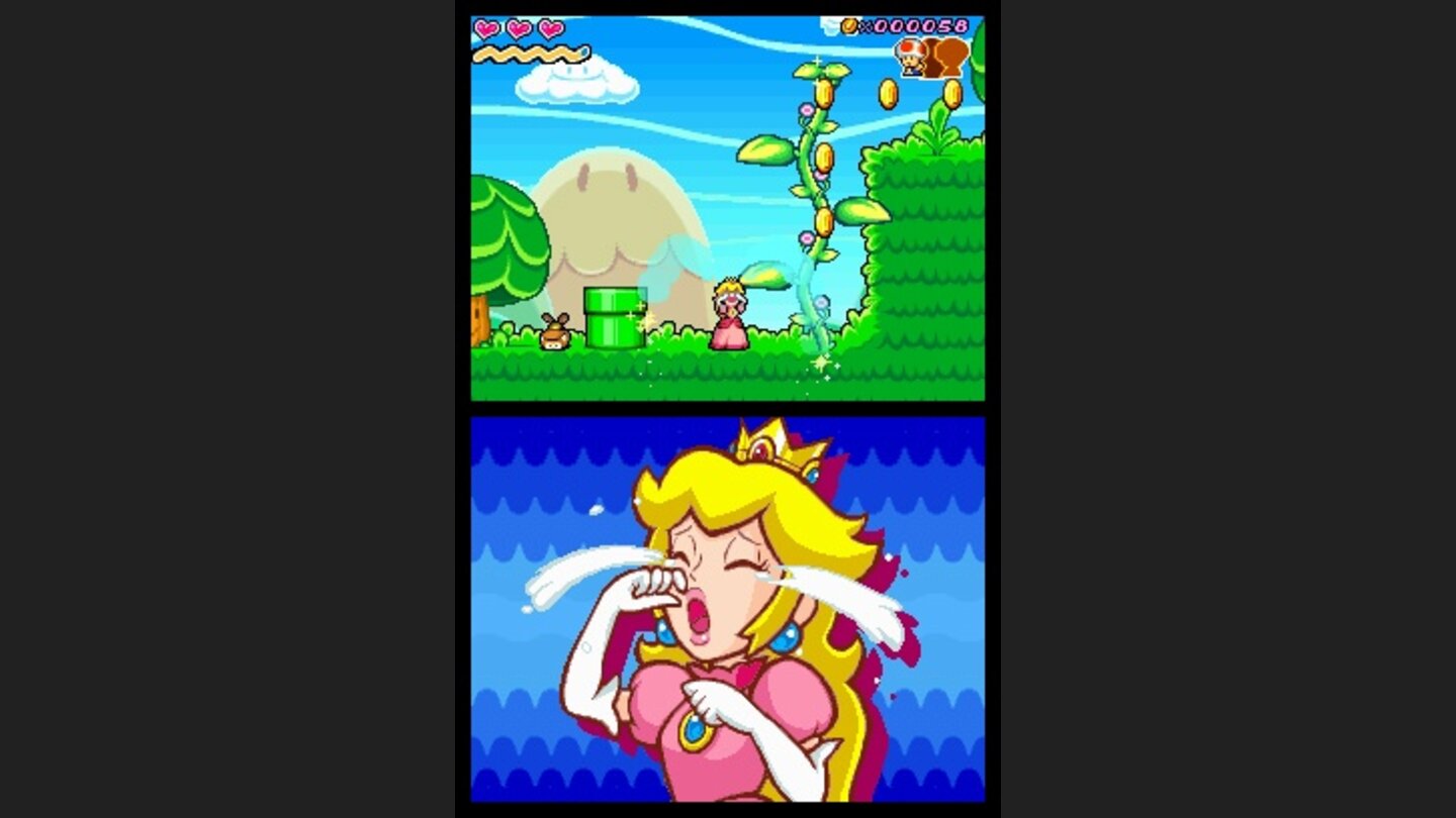 Super Princess Peach_DS 7