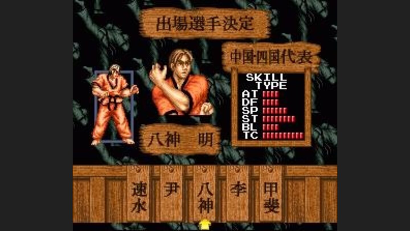 Fighter selection