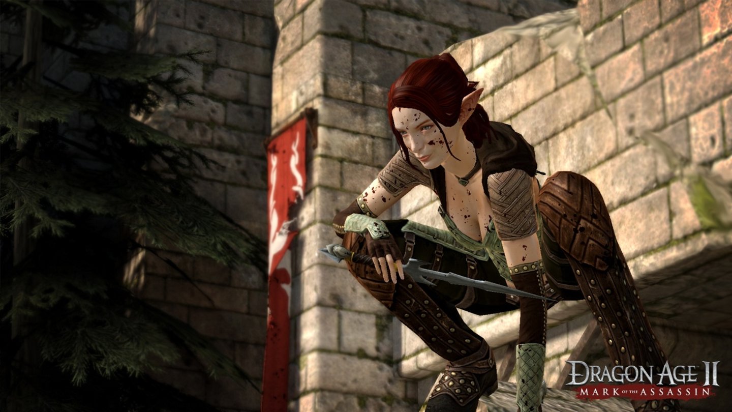Tallis (Dragon Age 2)Für Tallis, die Heldin des Dragon-Age-2-DLCs Das Zeichen der Assassinen, stand die Schauspielerin Felicia Day Pate, die der Elfin auch ihre Stimme lieh.