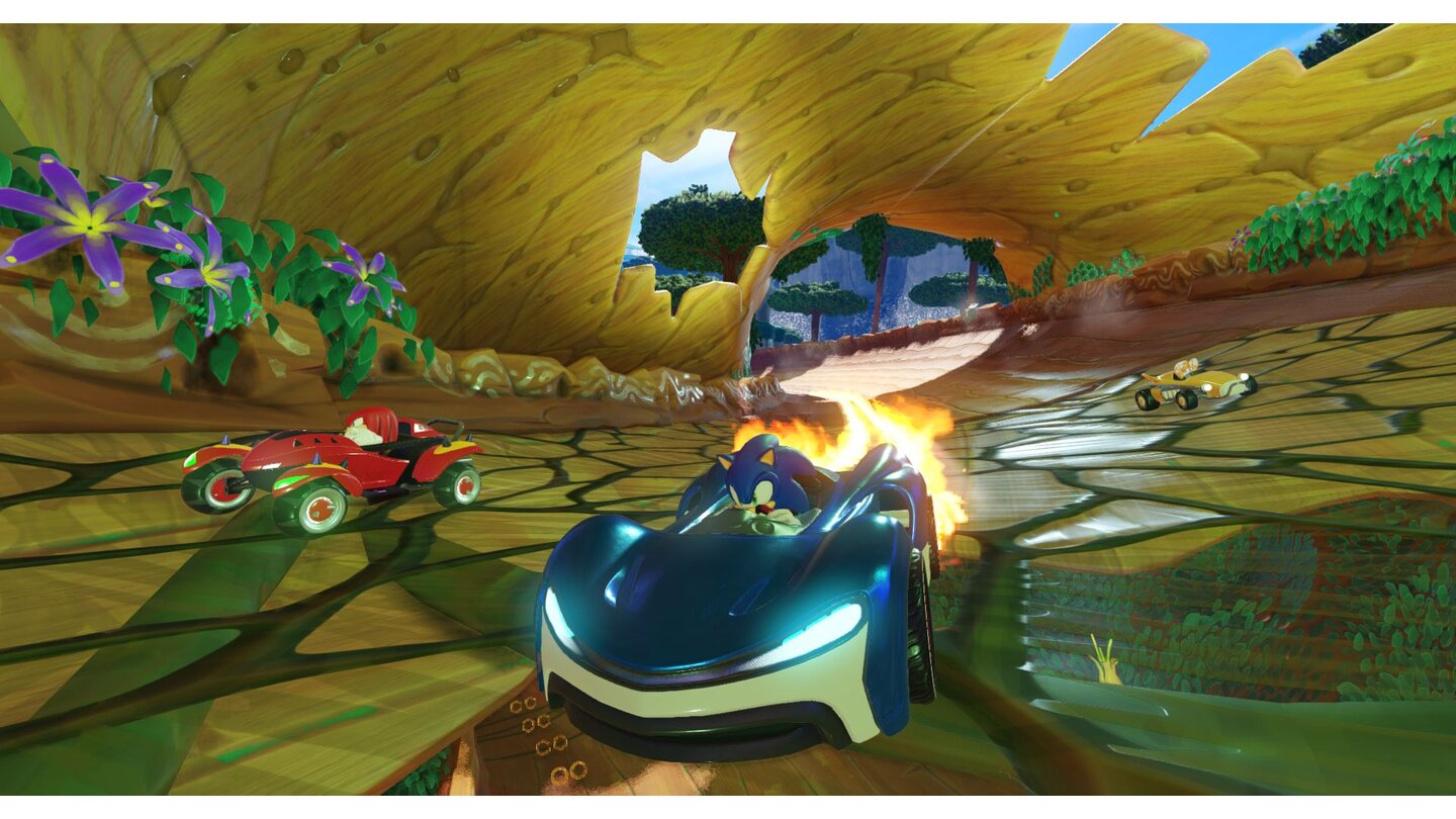 Team Sonic Racing