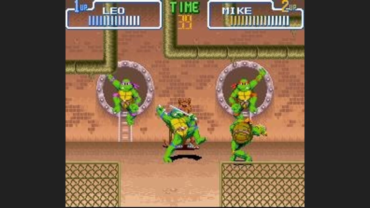 Choose your turtle: whos gonna win?