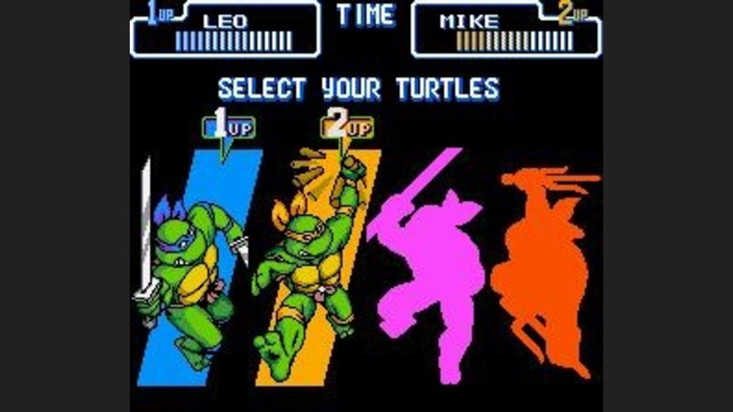Choose your turtle!