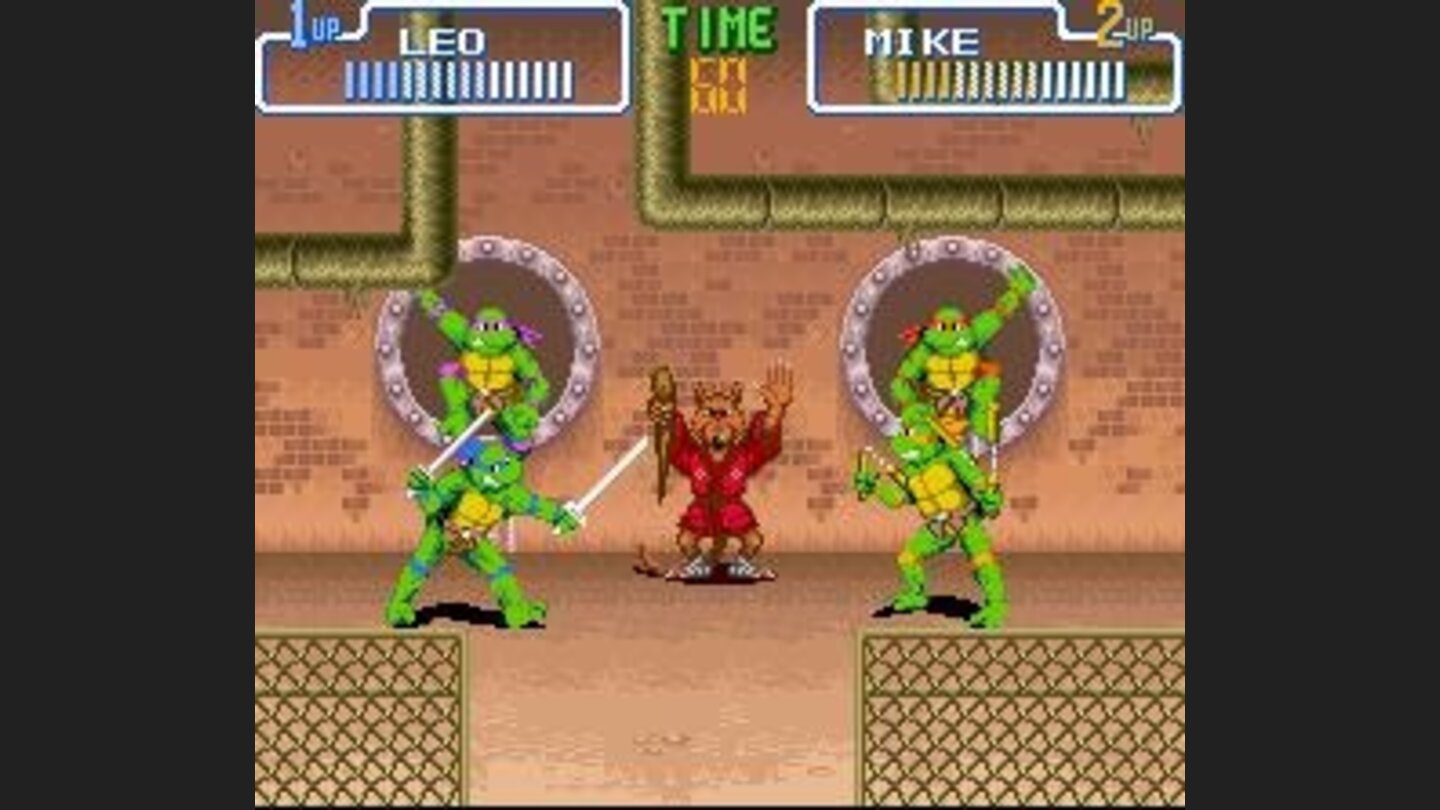Versus mode is a Street Fighter-like turtle battle.