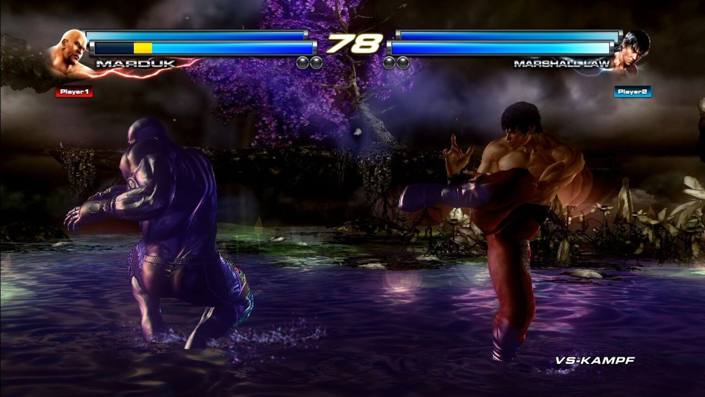 Tekken Tag Tournament 2Fallen Garden (Unbekannt)