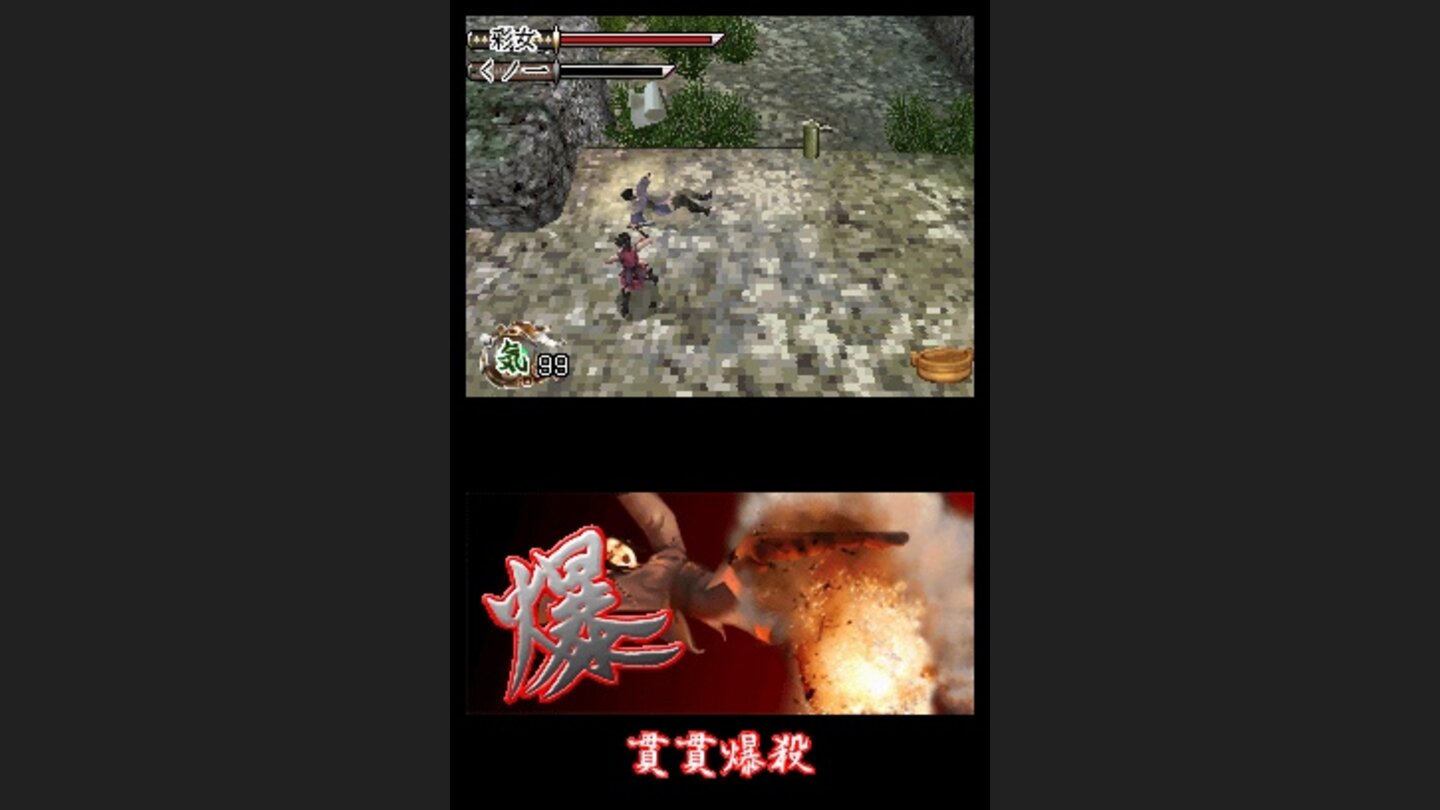 Tenchu Dark Secret DS 3