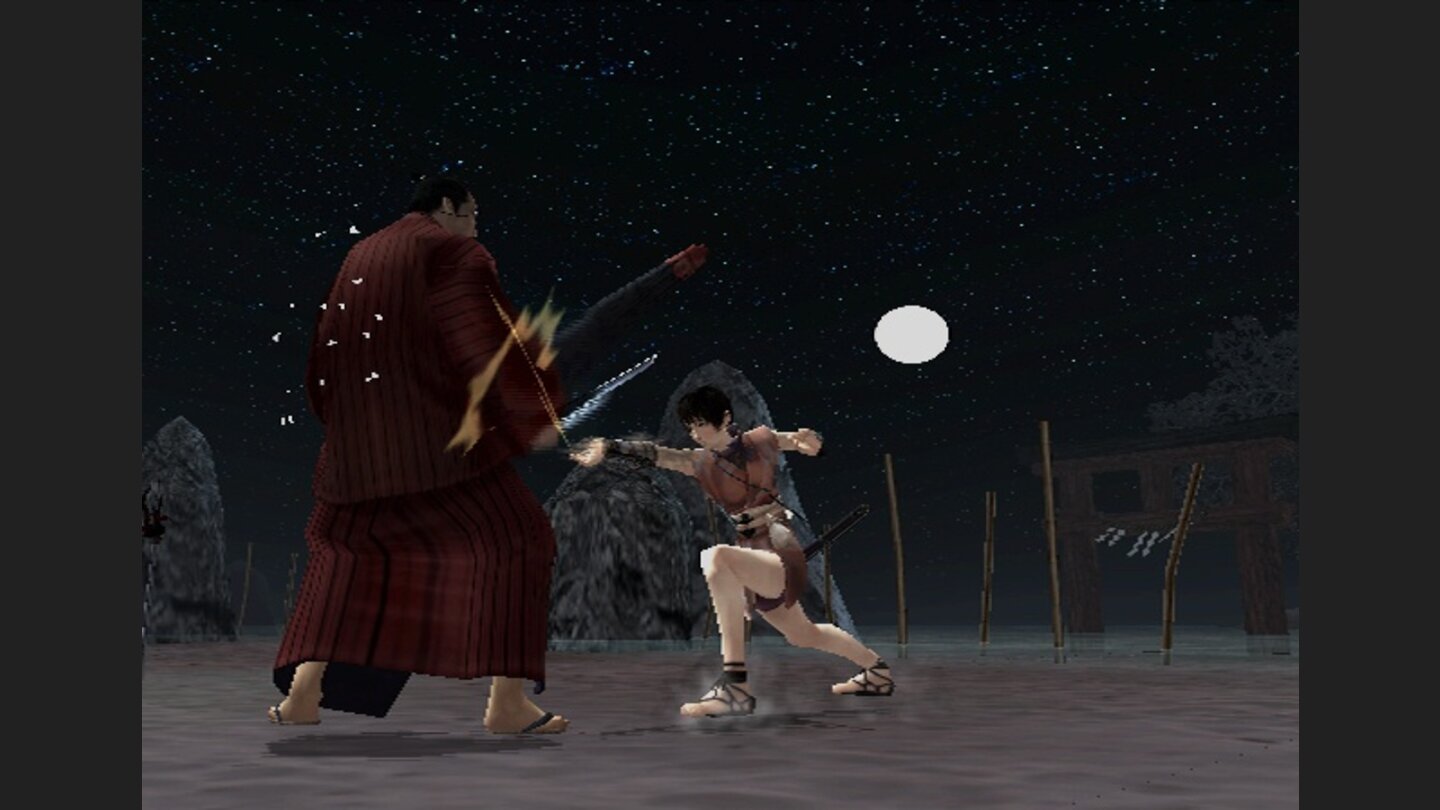 Tenchu Fatal Shadows 11