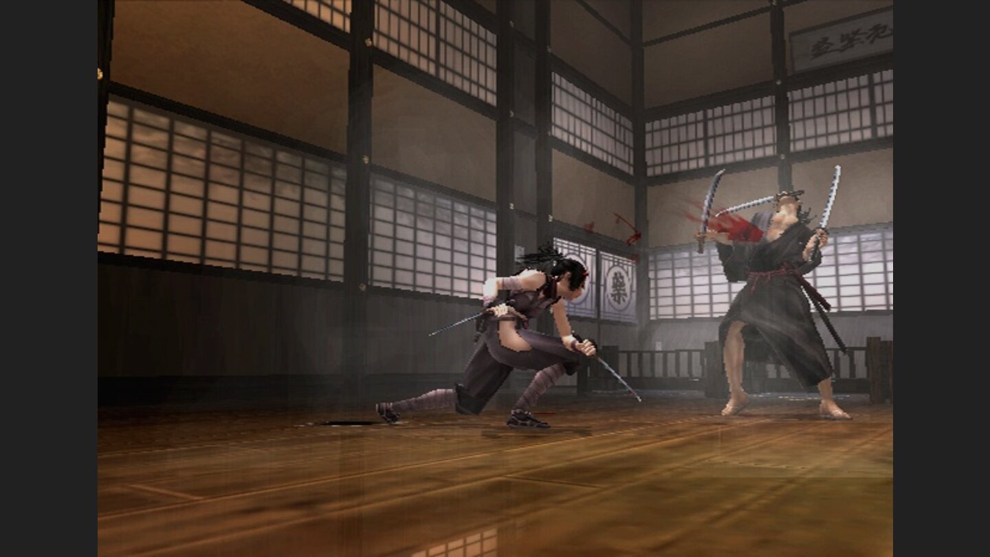 Tenchu Fatal Shadows 13