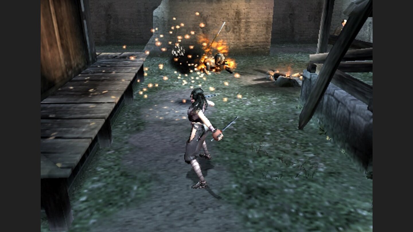 Tenchu Fatal Shadows 8