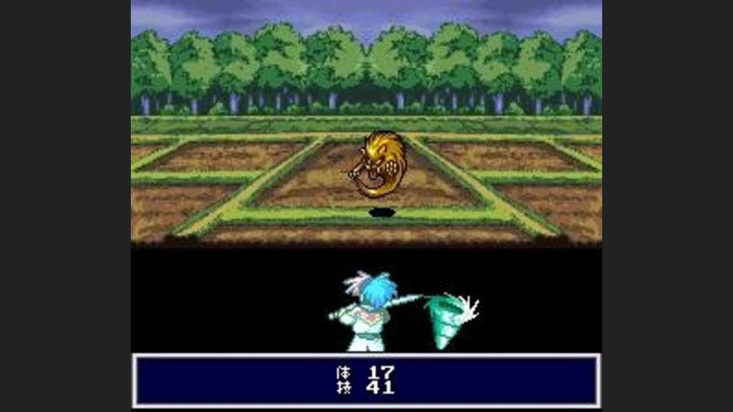 The random enemy casts a spell on Higan