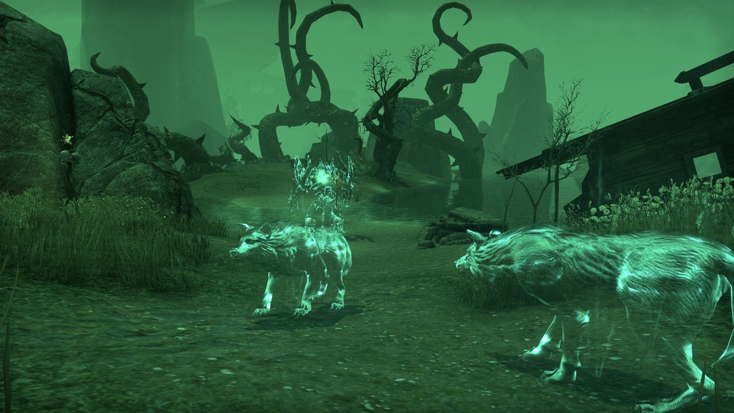 The Elder Scrolls OnlineFür diese Quest verwandeln wir uns in einen Wolf und sprechen in der Geisterwelt mit einigen Tieren.