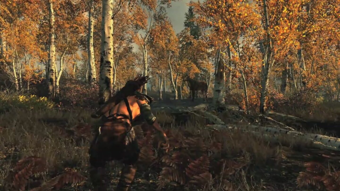 The Elder Scrolls 5 Skyrim - Erster Gameplay-Trailer 23