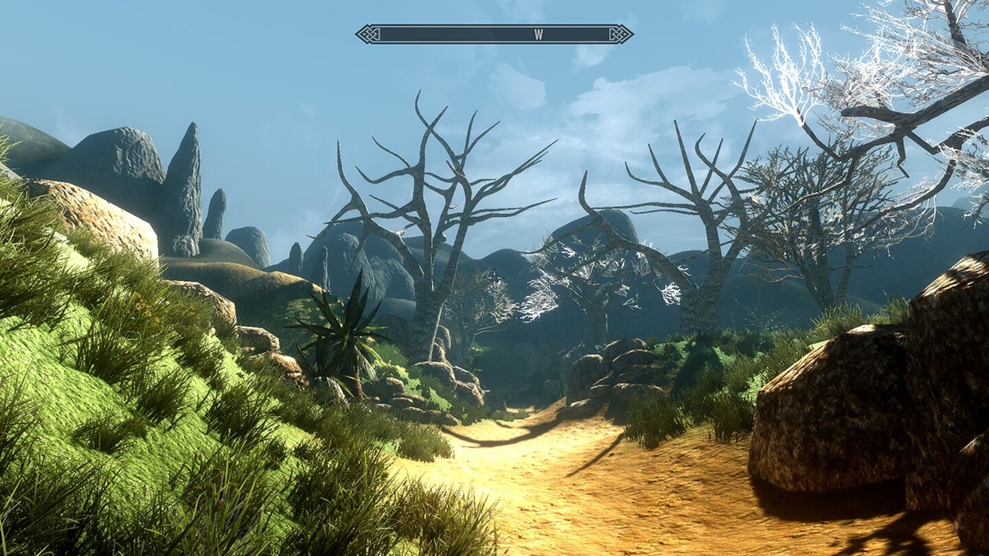 The Elder Scrolls 5: Skyrim