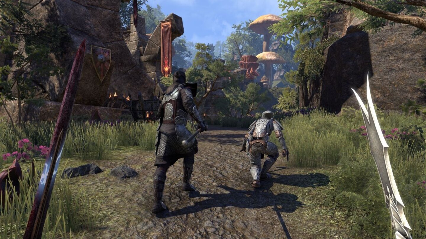 The Elder Scrolls Online MorrowindScreenshots vom PvP-Modus Battleground (Quelle: VG247)