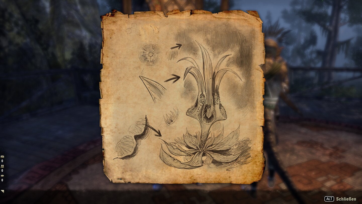 The Elder Scrolls Online: MurkmireAuf der Suche nach einer wichtigen Pflanze könnt ihr euch nur an dieser Zeichnung orientieren.
