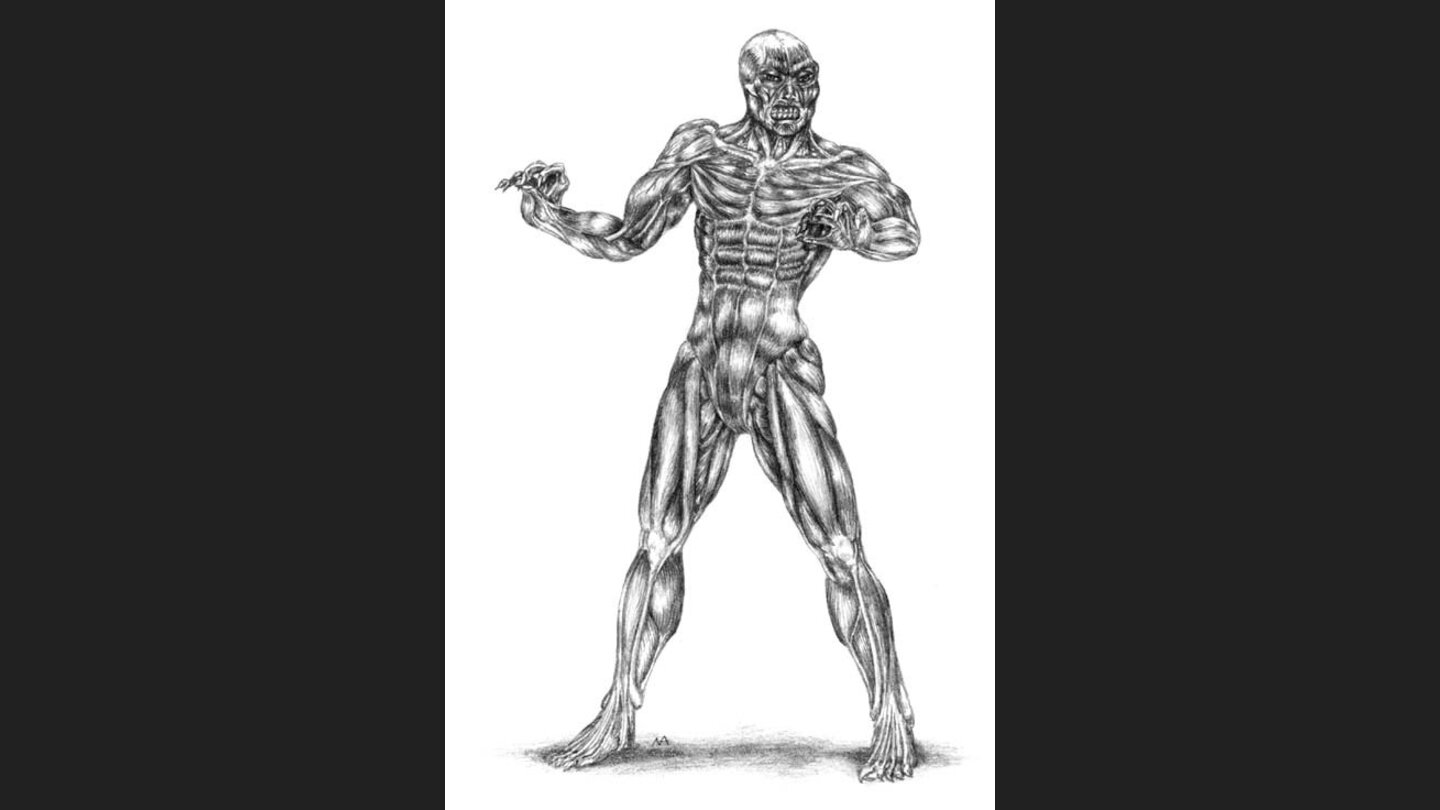 The Lady, the Mage and the Knight