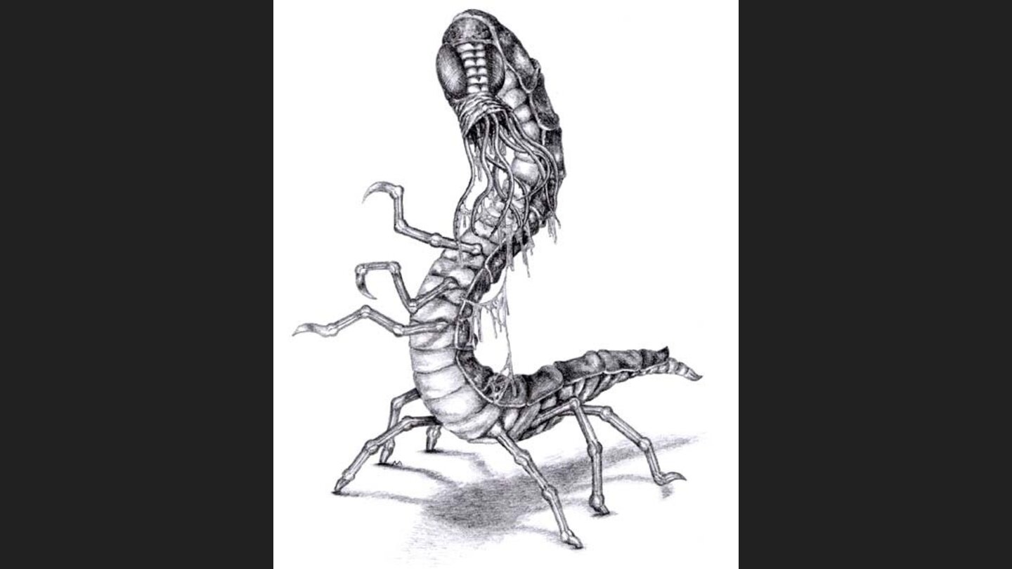 The Lady, the Mage and the Knight